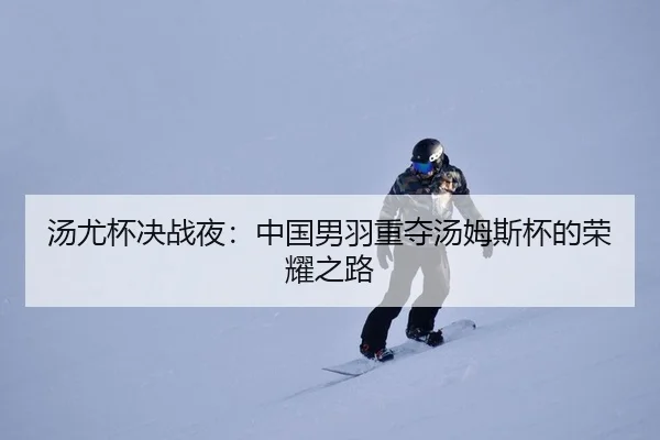 汤尤杯决战夜：中国男羽重夺汤姆斯杯的荣耀之路